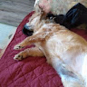 Meet your Posher, Erika